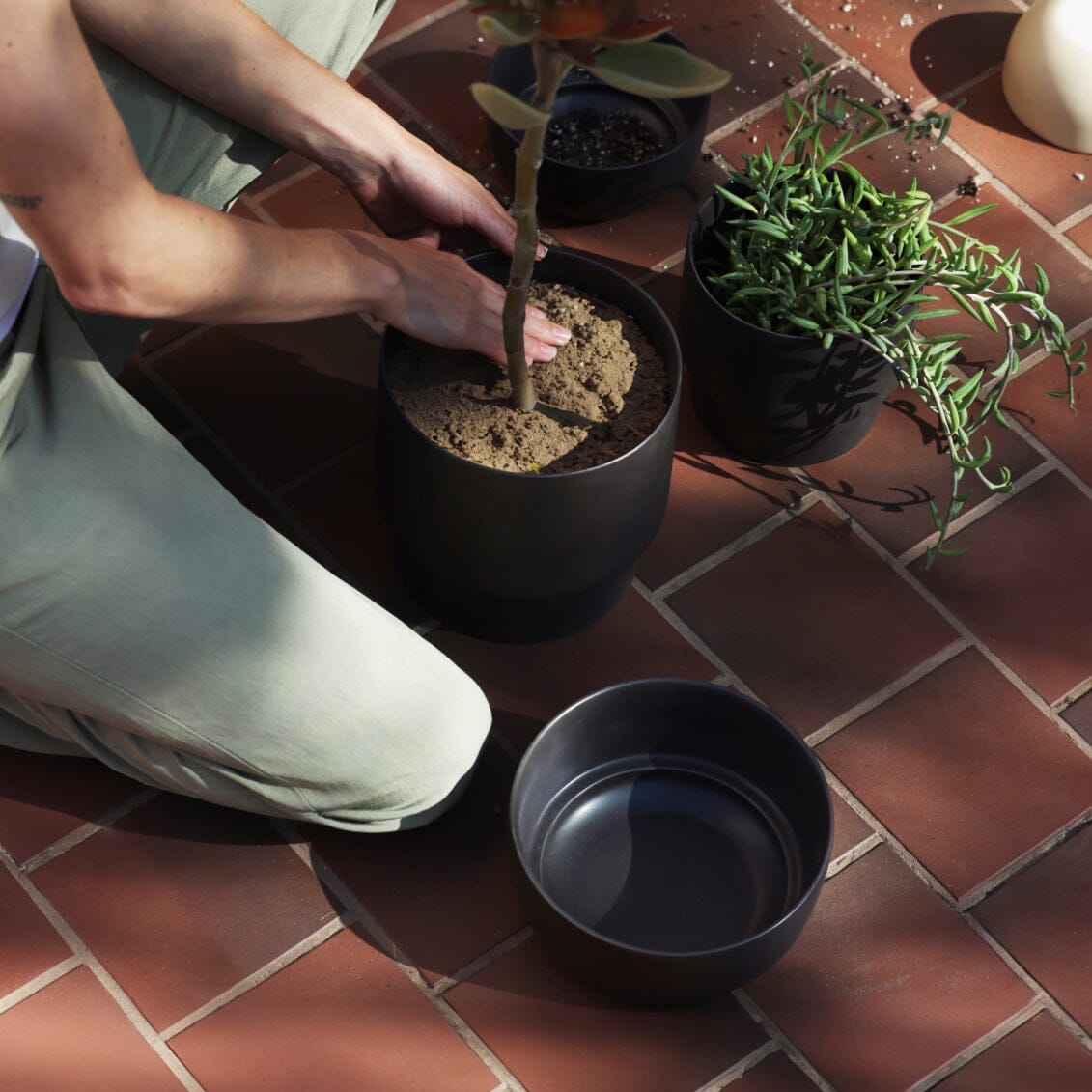 Medium Planter