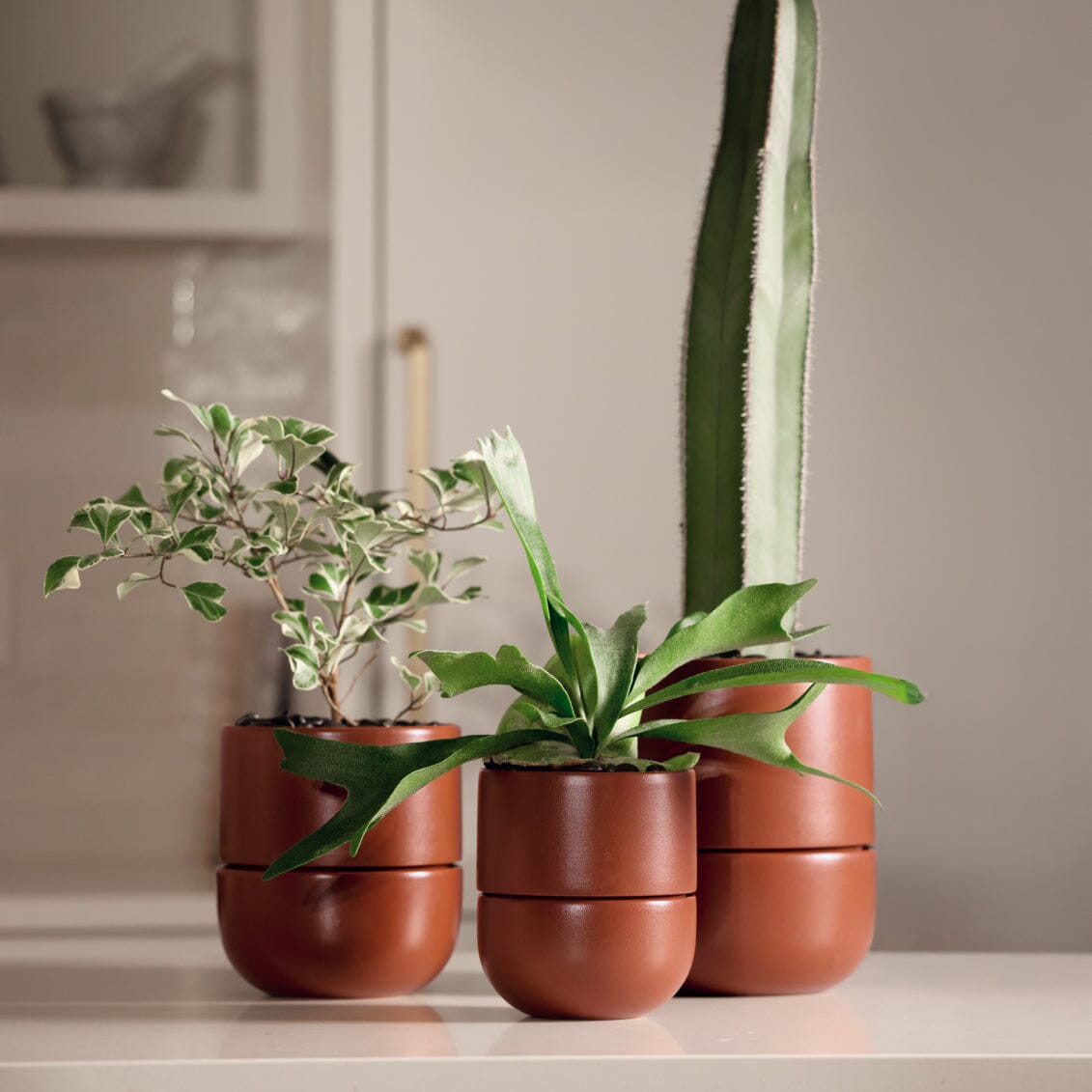 Medium Planter